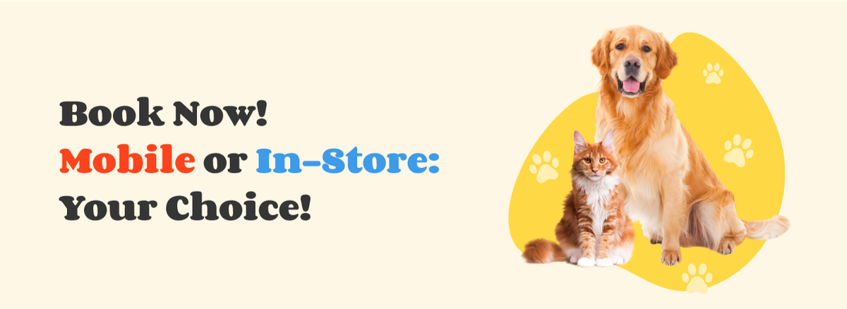 book-now-banner