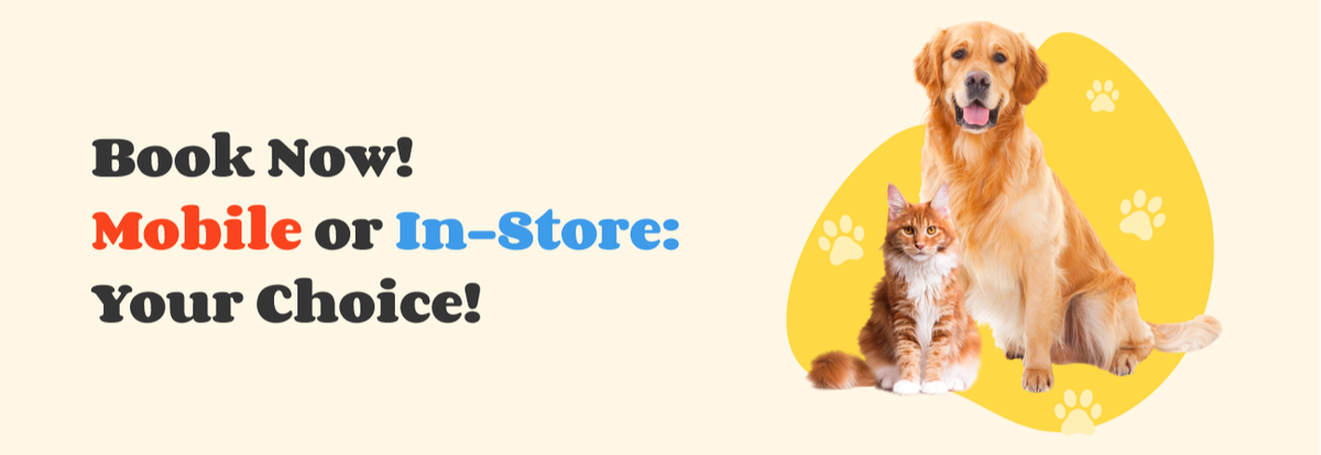 banner-invitation